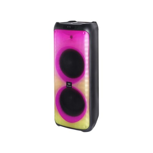 Bluetooth Hordozható Hangszóró Trevi XF 4100 PRO Fekete 300 W