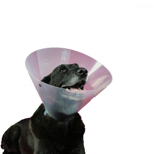 Erzsébet-kutya nyakörv (védőtölcsér) KVP Betsy (33-40 cm)